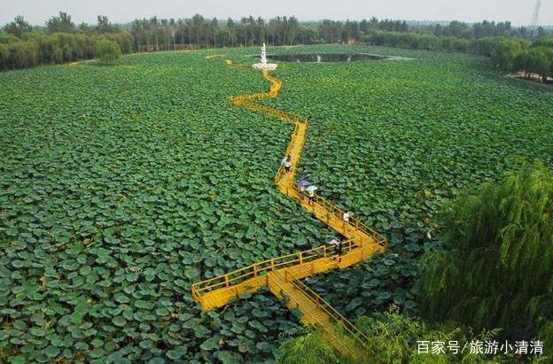 玉溪有哪些旅游景点，云南玉溪这几个景点宛如仙境