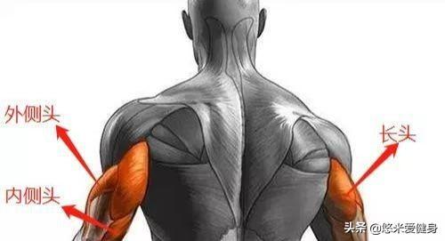 手臂肱三头肌锻炼方案，3个动作练厚肱三头肌