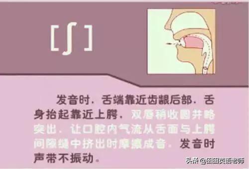 英语音标怎么学，初学英语者必看如何学习国际音标（资深老教师说：音标就该这样学）