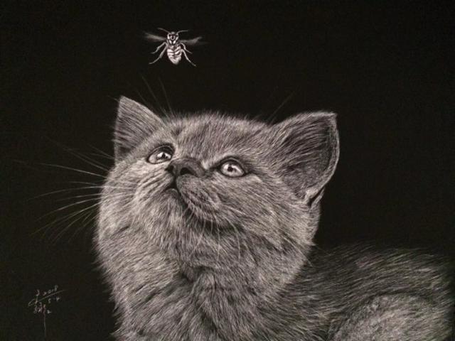 刮刮画作品大赏，刮画被他玩到极致