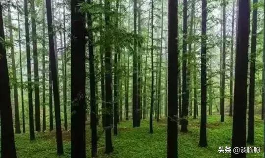嵩山风景区一日游，又到春天旅游季
