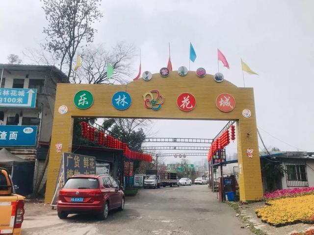 成都便宜的花卉市场在哪里，“214”探访成都万福花市