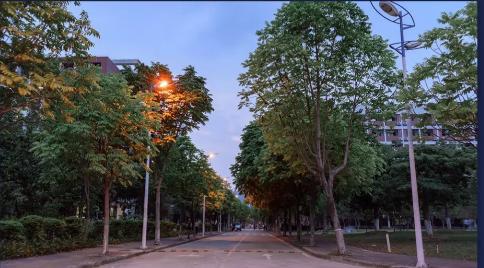 广东金融学院专业，广东金融学院专业一览表