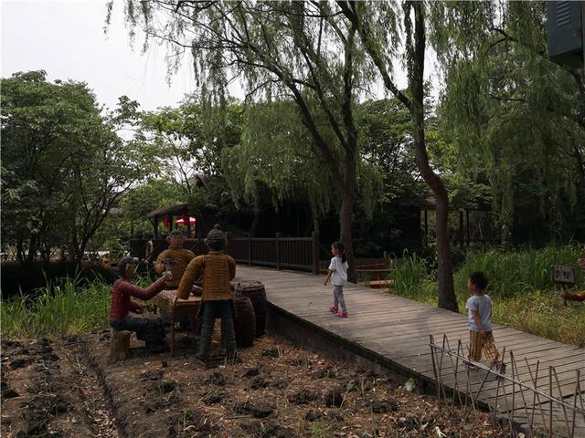 泰州溱湖湿地公园，江苏溱湖国家湿地公园（泰州溱湖国家湿地公园）