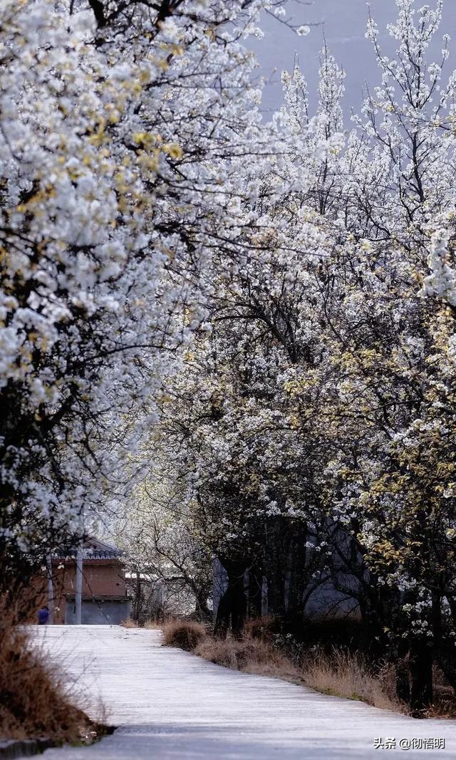 世界最美的地方，世界最美十大地方