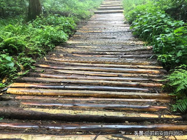 徒步南迦巴瓦峰最佳观景台，雾中徒步薄刀峰