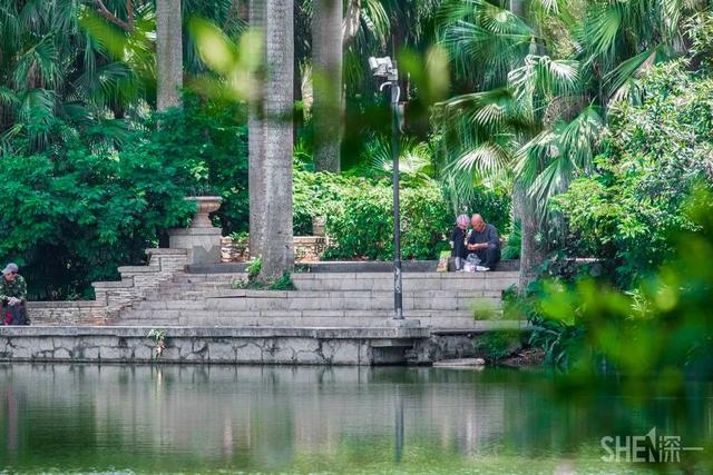 深圳旅游攻略景点推荐，深圳十条旅游路线（不完整的旅游景点和美食选择）