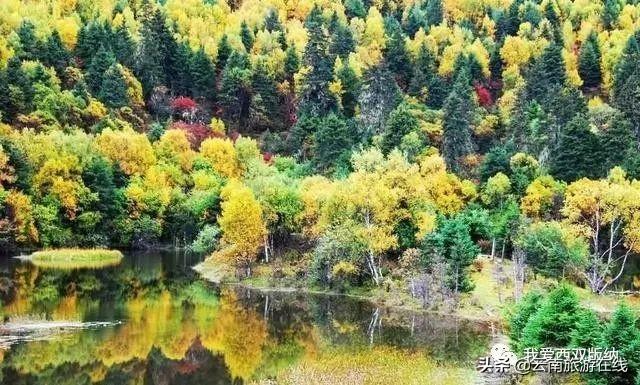 云南旅游必去景点，云南旅游必去景点推荐（云南有哪些值得一去旅游景点）