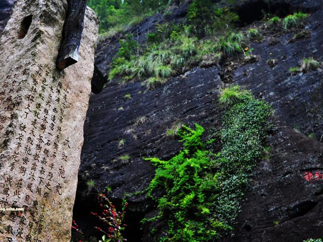 福建南平有什么旅游景点吗，福建省南平市值得游玩的旅游景点有哪些