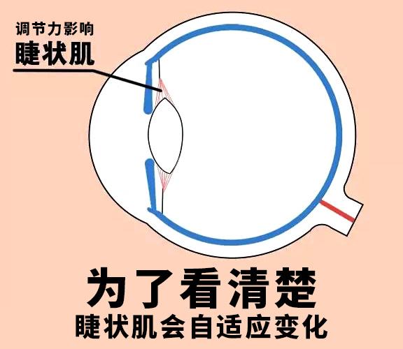 新配的眼镜需要适应多久，新眼镜要适应一下