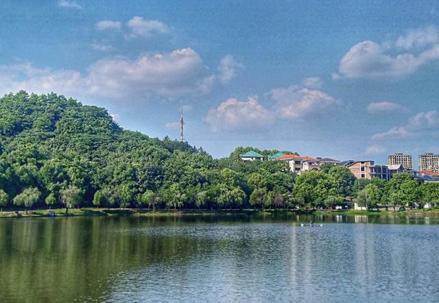 浙江省各市县城区面积与人口，国家确定的浙江十大县级市义乌第1