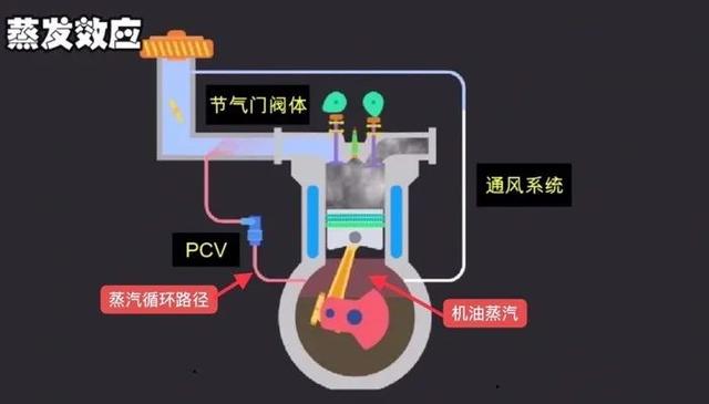 新手教你怎样看懂机油，通俗易懂的机油指标详解