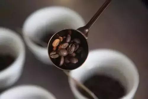 印尼顶级麝香猫咖啡，除了麝香猫咖啡