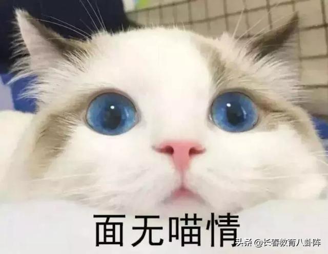 吉大附中高中部，吉大附中高考成绩排名