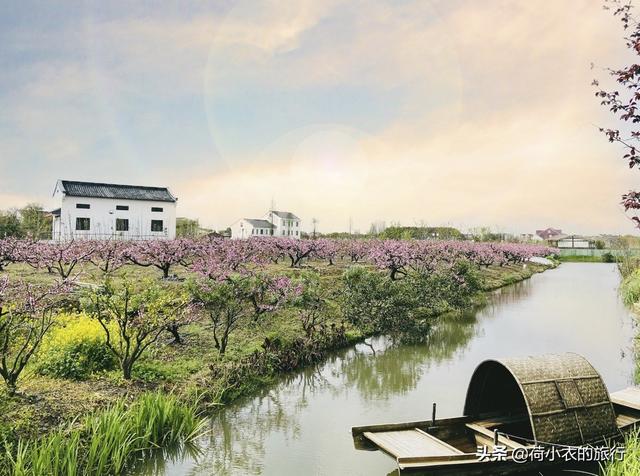 上海周边便宜的养老地方，住在普陀这个市级老年友好型社区是怎样一种体验