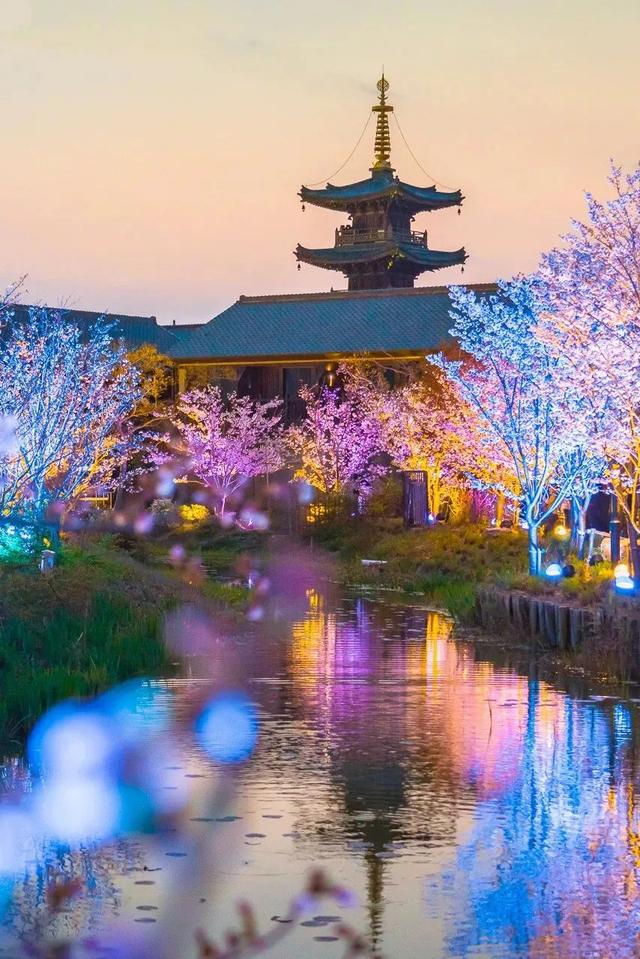 拈花湾攻略必去景点，1600亩拈花湾樱花海