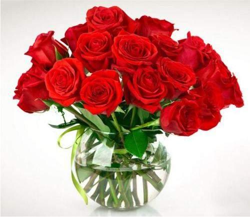 中年女性微信头像，中年女性的微信头像应该选哪些