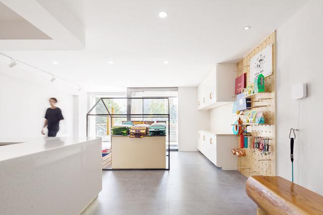 开个宠物店logo设计，的宠物品牌VI设计