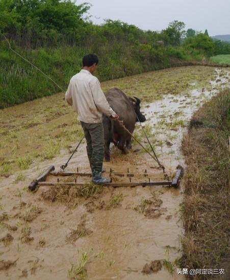 农具大全名称加图片，农具名称图解（过去夏收季节常用的10种农具）