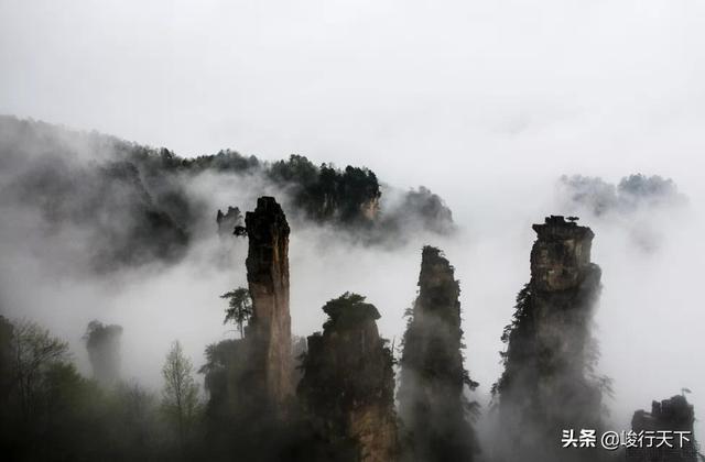 阿凡达拍摄地张家界的什么地方，“取景产业”，城市新动能