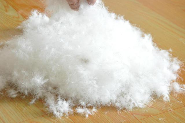 鸭绒和鹅绒什么的比较好，鹅绒与鸭绒的区别