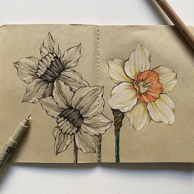 妙笔生花水墨画教程，教科书级别的植物线描