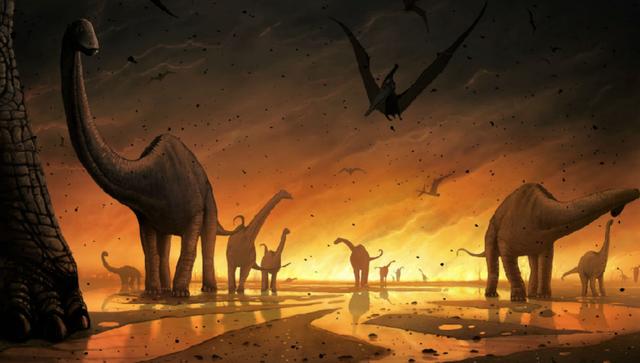第六次生物大灭绝，地球正进入第六次生物大灭绝（5次生物大灭绝地球经历了什么）