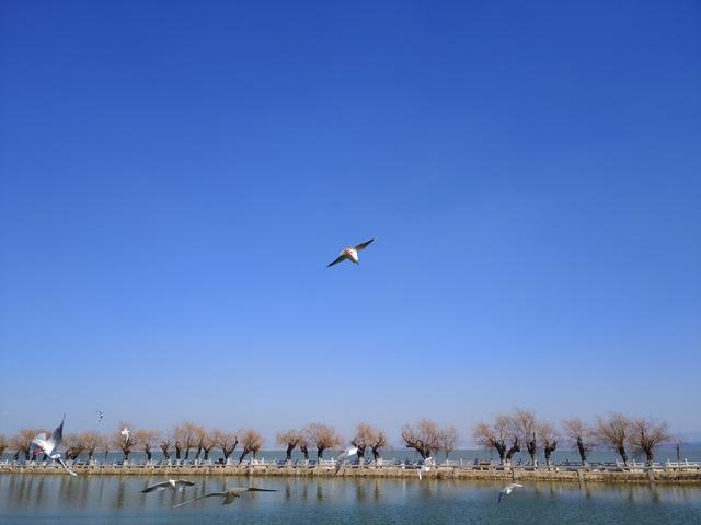 云南这条公路曾拯救国家于危难中，云南最危险的三条公路