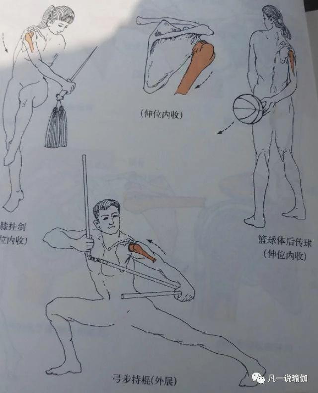 自己怎么开肩效果最好，上来就盲目开肩