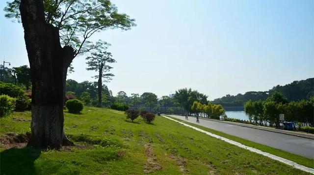 广州大夫山在哪，广州番禺-大夫山
