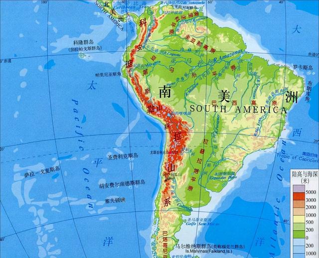 世界上最毒蜘蛛都生活在哪，千只第一剧毒蜘蛛藏身香蕉