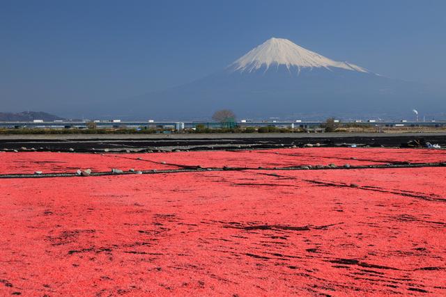 日式料理虾刺身，日本有名的刺身，你喜欢哪一个