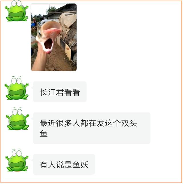 什么叫常见变异鱼，最近热传的双头鱼