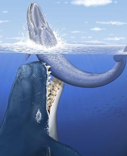 世界十种海洋霸主，细数那些在远古海洋中称霸一时的海洋霸主