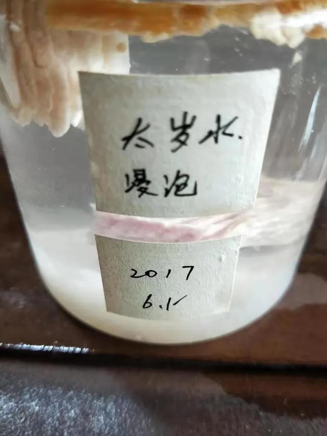 太岁肉灵芝为什么那么稀有，真假太岁肉灵芝的知识论述