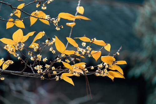 对自己好点的经典句子，不欲与俗人齿
