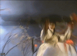 焦恩俊凭啥都能转，焦恩俊近期微博