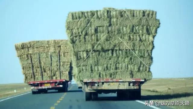 向草原奔跑揭秘蒙古族游牧文化，现已逐渐消失的走牧制度“敖特尔”