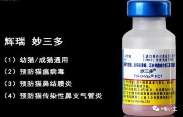猫三联是什么意思，猫三联第三针是什么（喵星人打疫苗妙三多）