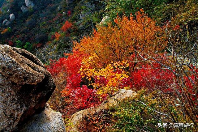 凤凰岭景区简介，海南之旅<5>——凤凰岭