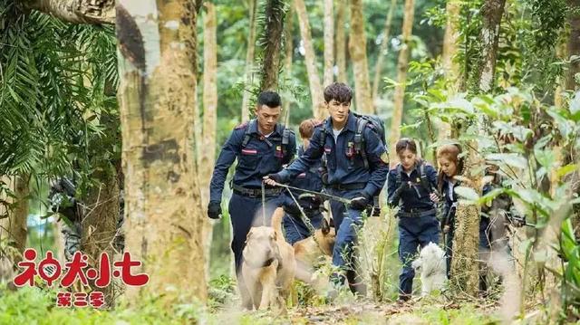神犬小七第三部，姜潮宋妍霏携手萌娃救援现场展实力