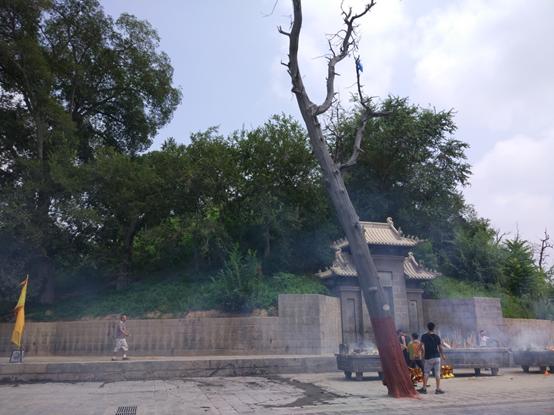 陕豫湘鸡鸣三省在哪里，苏皖豫陕大巴车三天游十城是一种什么节奏