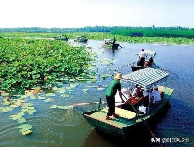 保定有哪些免费游玩的景点，保定新建的10大适合带孩子游玩的公园