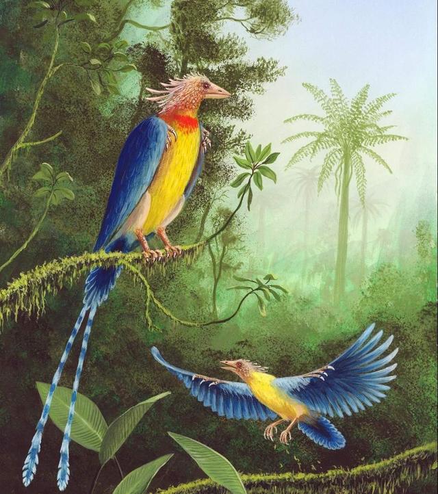 白垩纪时间轴，世界最完整琥珀古鸟被发现