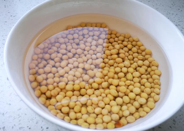 如何生绿豆芽和黄豆芽，不用土壤不用肥料