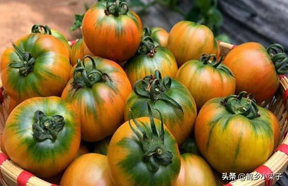 如何辨别正宗西红柿，教你几个挑西红柿的小技巧