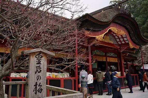 日本福冈旅游必买清单，明太子仙贝、小鸡馒头、甘王草莓夹心饼一网打尽