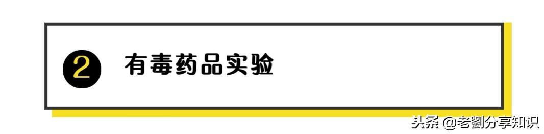 化学科普小实验，化学老师绝对不带你做的13个化学实验