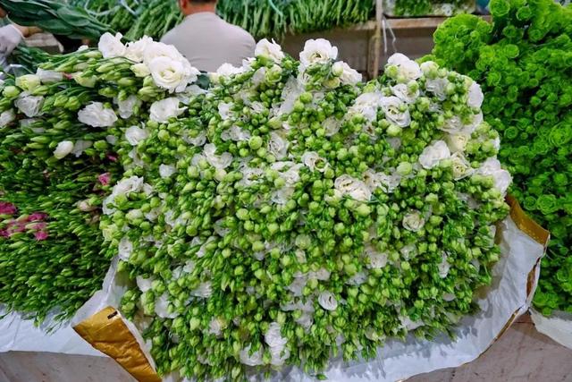 便宜又实惠的鲜花市场，打卡全国最大的鲜花批发市场