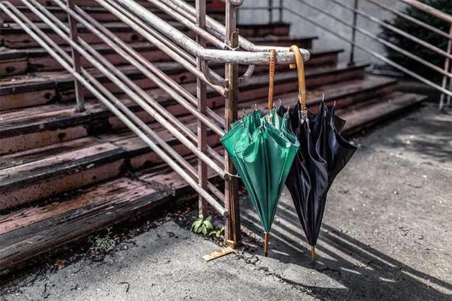 有关亲情的诗句五首，五首诗道尽骨肉亲情